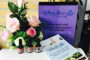 Wellness House – Børkop