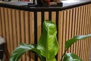 Tik saras massage – Vejen
