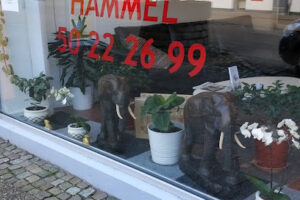 Thaimassage Hammel – Hammel
