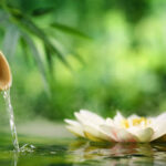 Silkeborg Thai Massage - Silkeborg 11 AF1QipNy4Wc6 z2DKUwKHcrSIitOYqqd28mSRKZwXu65w408 h272 k no