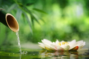 Silkeborg Thai Massage - Silkeborg 16 Silkeborg Thai Massage – Silkeborg