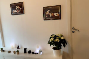 Patty Wellness thai massage – Skanderborg