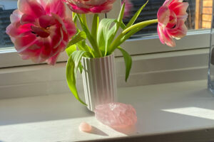 Birgit Fia Ljunggren – Roskilde