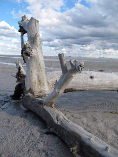 Kroppen Kalder – Lillerød