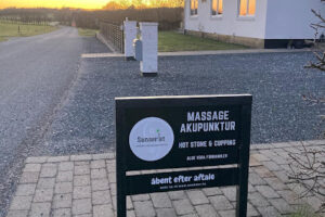 Sanseriet v/Joan Liin – Tjele