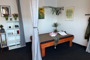 Napa Thai Wellness – København