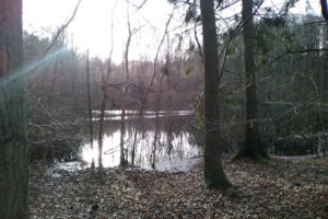 Langå Massage – Langå