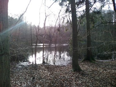 De bedste thaimassager i Danmark 156 Langå Massage – Langå