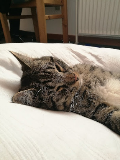 GertVinnie.dk – Egtved