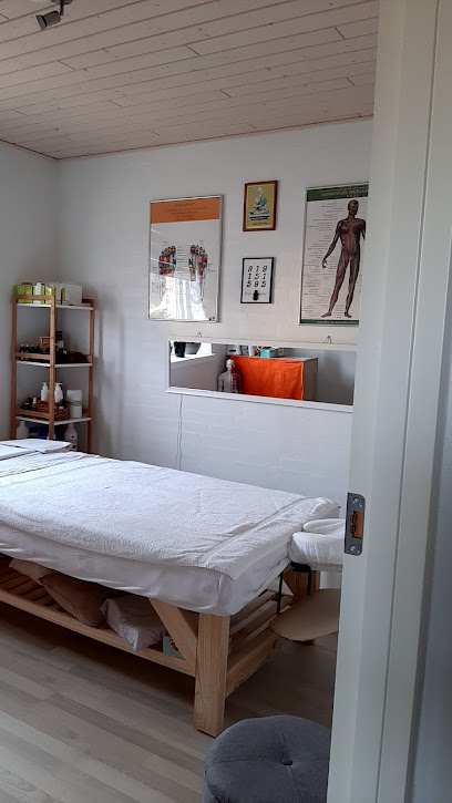 Siam Hejnsvig Behandling – Hejnsvig