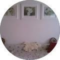 Tintinmassage - Svendborg 7 M P