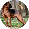 Suwipa Thaimassage, Wellness & Spa i Herning - Herning 7 Eva Ejlersen